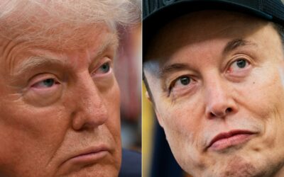 Elon Musk says he regrets some social media posts he made about Trump
