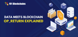 OP RETURN and Storing Data on the Bitcoin Blockchain