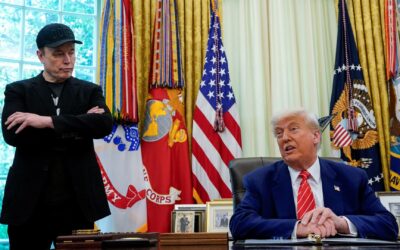 Trump-Musk feud draws reactions from billionaires, politicians and pundits