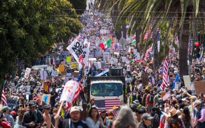 Trump No Kings protests military parade