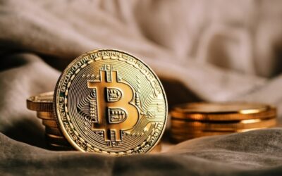 WisdomTree Bitcoin ETF Records Zero Inflows: Market Sentiment Shifts to Cautious Stance
