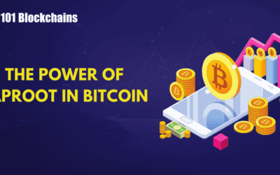 How Taproot Upgrade Improves Bitcoin Privacy and Scalability?
