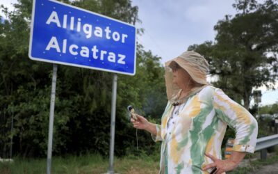 Judge orders temporary halt to construction at Florida’s ‘Alligator Alcatraz’ detention center