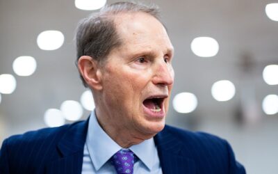 Trump weak for firing BLS chief McEntarfer over jobs report: Wyden