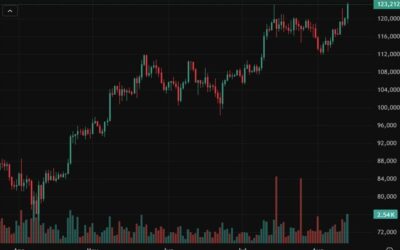 Bitcoin has jumped above US$123K, +30% YTD (a bit more!)