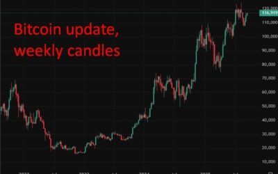 BofA survey: Fund managers keep crypto allocations near zero despite market growth