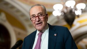 Democrats dig in on health care as threat of government