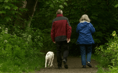 Retirement Curveballs: When Family Needs Come First