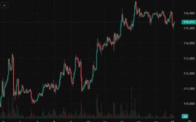 Wall Street Journal: "Buffett Devotee Is Plowing Billions Into Crypto"