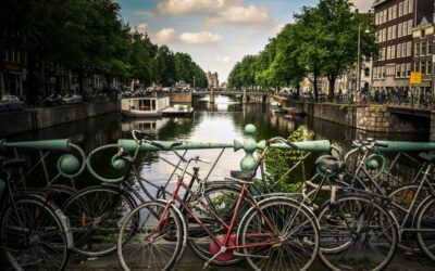 Webull EU launches with HQ in Amsterdam