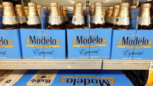 Constellation Brands STZ Q2 2026 earnings