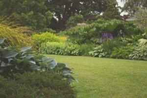 Easy Ways to Improve the Appearance of Your Yard 1 Easy Ways to Improve the Appearance of Your Yard