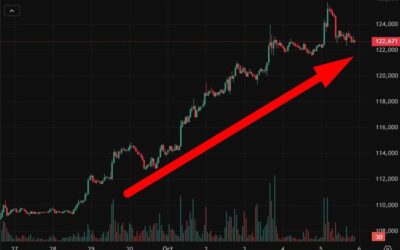 Trump’s $1000 to $2000 stimulus checks for Americans lifted Bitcoin